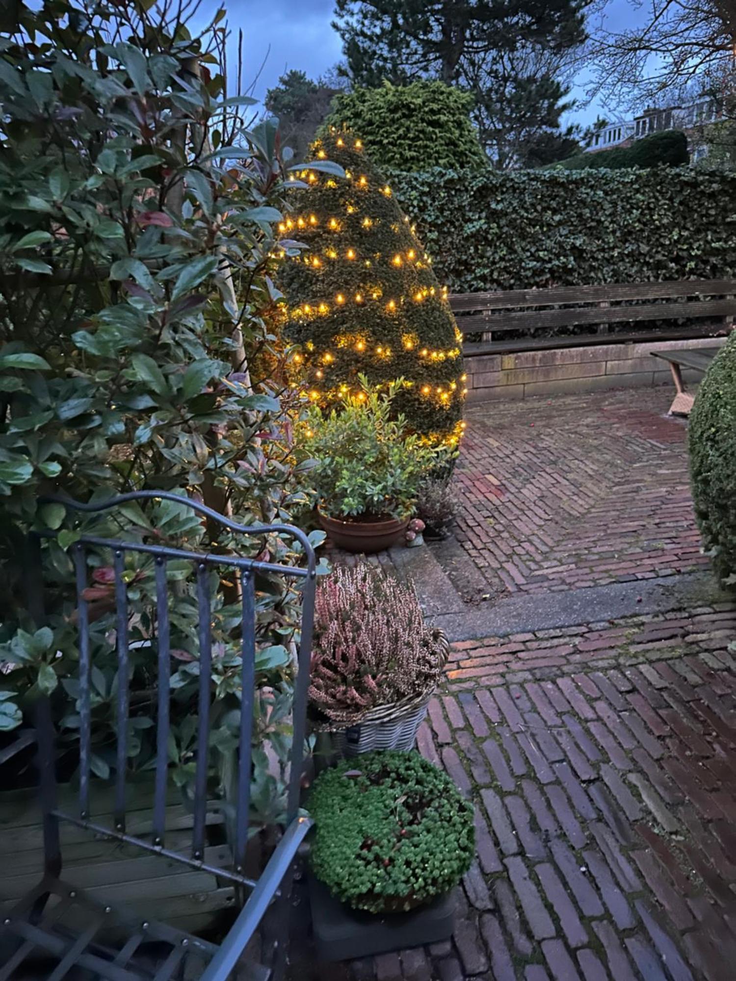 B&B Ereprijs Haga Exterior foto